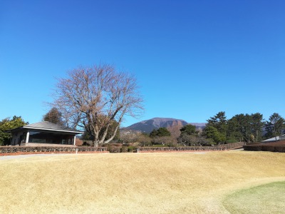 新沼津カントリークラブから見た愛鷹山です。
