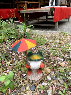 京都清水寺でのカエルです。